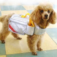 ペット防災用品