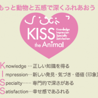 kiss the animal