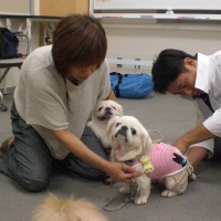 動物の救急救命実技セミナー