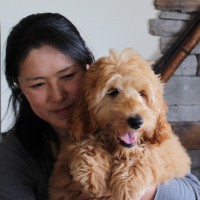 愛玩動物救命士