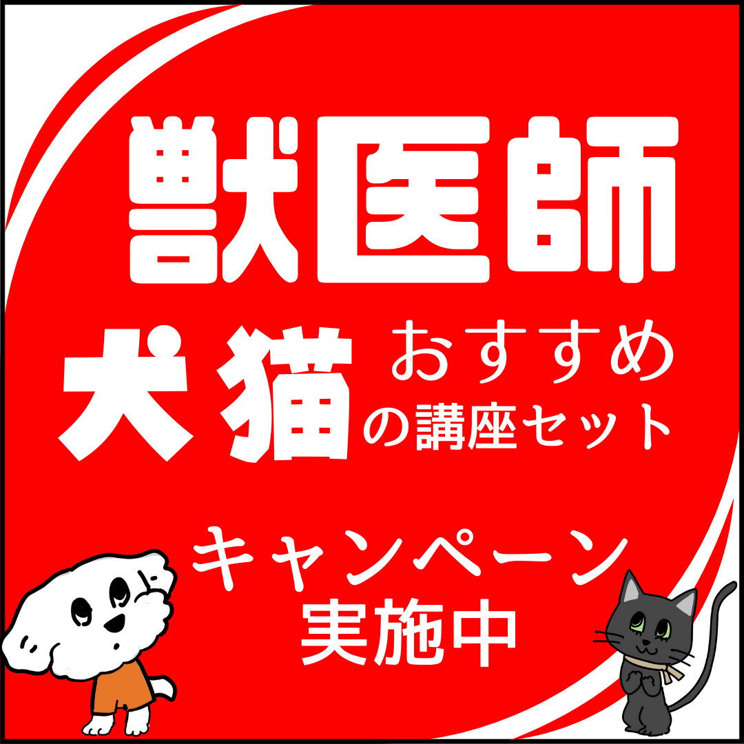 犬資格教材 ペット通信講座 ブリーダー講座 DVD 教材テキスト 犬資格教材 ペット通信講座 ブリーダー講座 DVD 教材テキスト