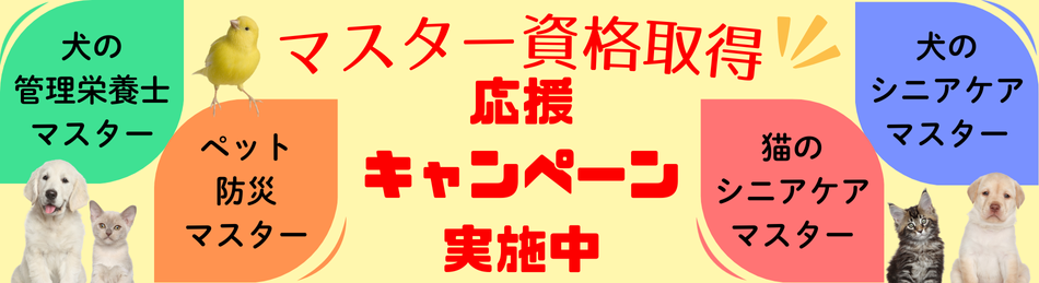 マスター資格資格取得応援キャンペーン実施中
