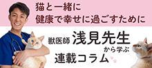 猫と一緒に健康で幸せに過ごすために 獣医師浅井先生から学ぶ連載コラム